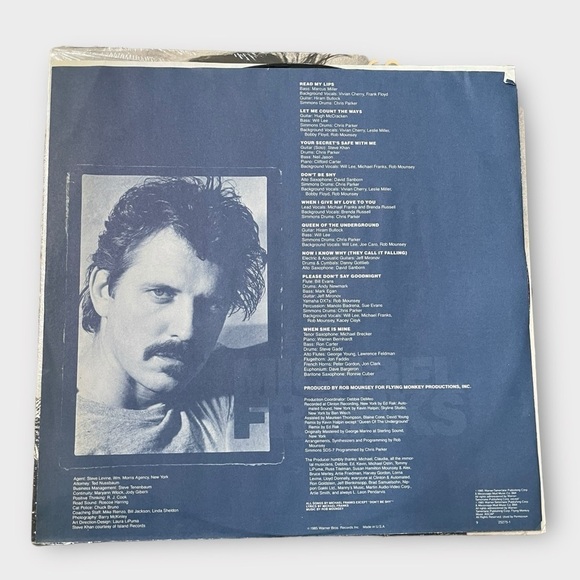 Michael Franks Skin Dive Vinyl Record - Picture 2 of 5
